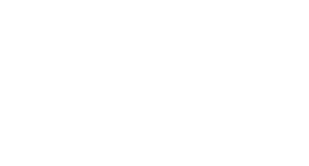 BIZCOM.it
